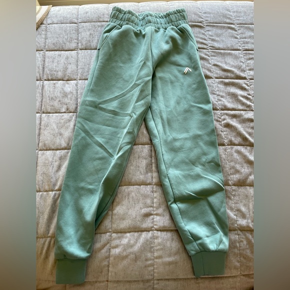 Alphalete Joggers Sweatpants with Pocket and strings Turquoise color - Picture 3 of 3